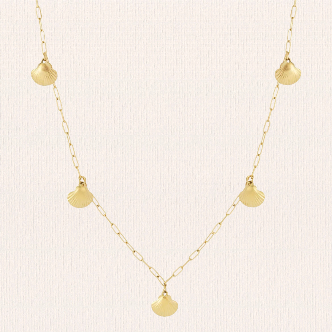 Lange ketting met schelpjes