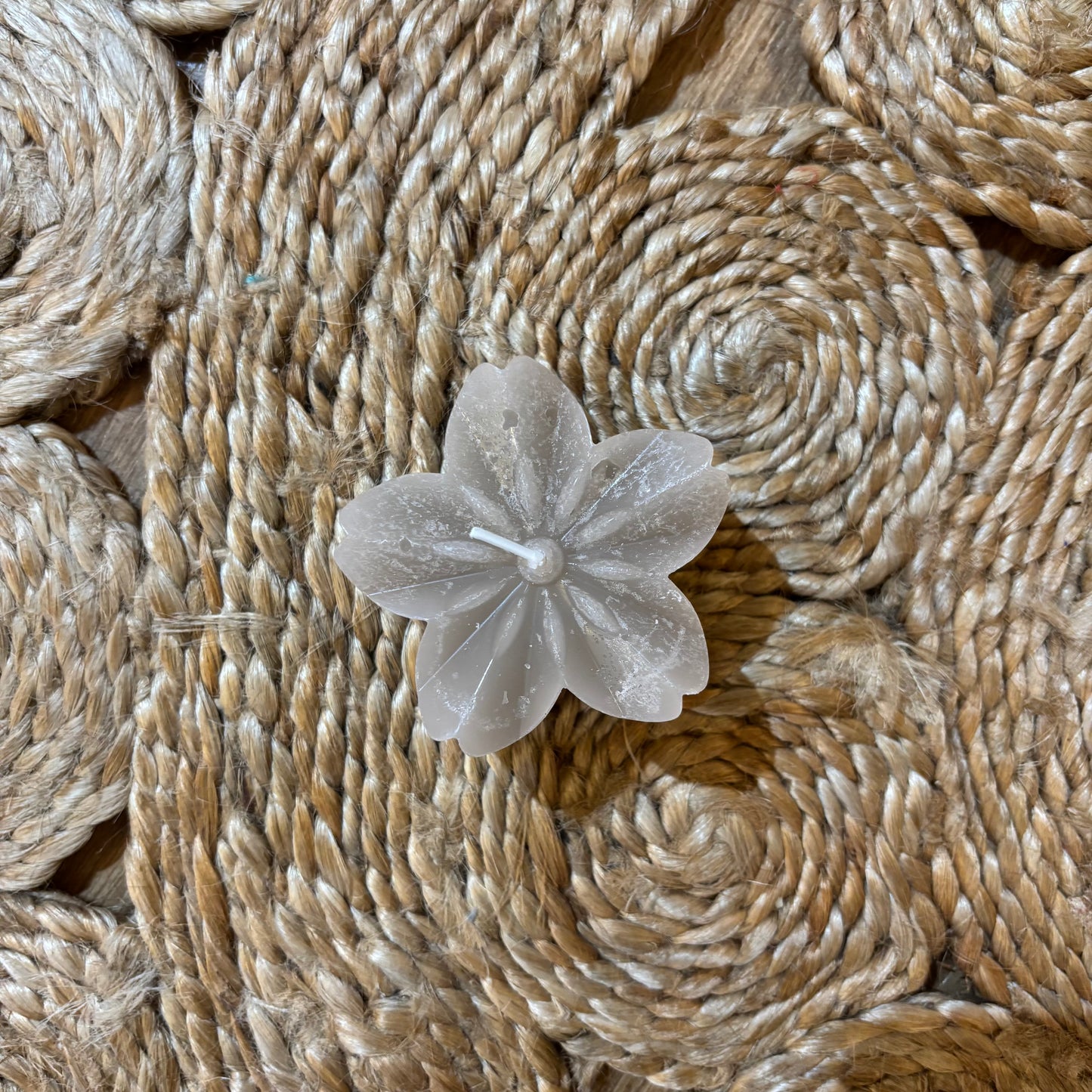 Grijze bloemenkaars