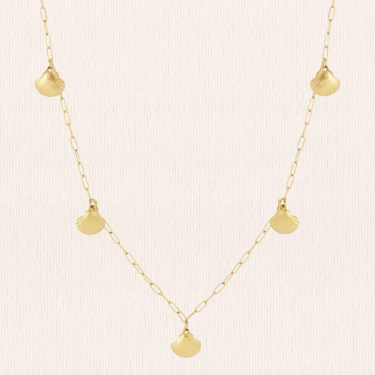 Lange ketting met schelpjes