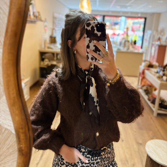 Brown cow twilly