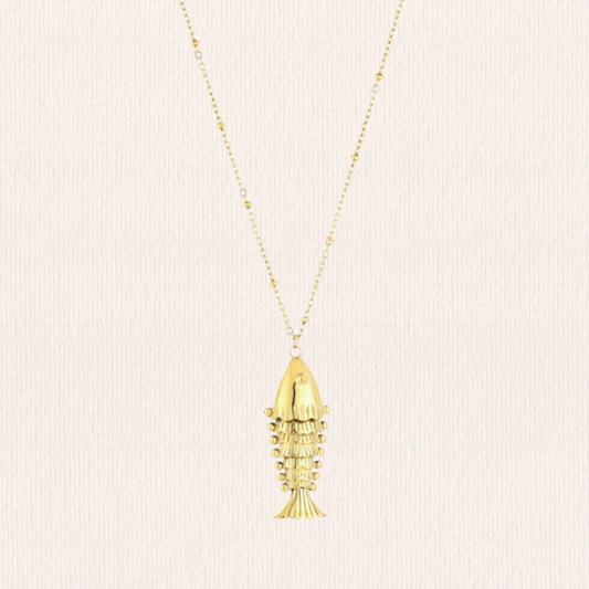 Lange ketting met vis